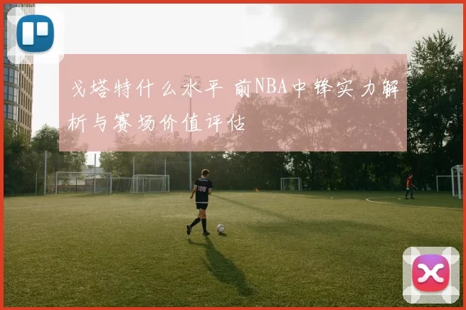 戈塔特什么水平 前NBA中锋实力解析与赛场价值评估