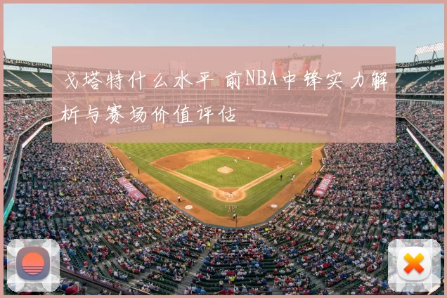 戈塔特什么水平 前NBA中锋实力解析与赛场价值评估