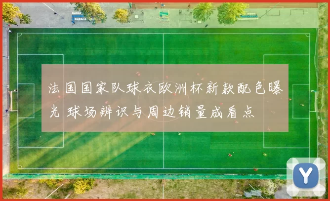 法国国家队球衣欧洲杯新款配色曝光 球场辨识与周边销量成看点