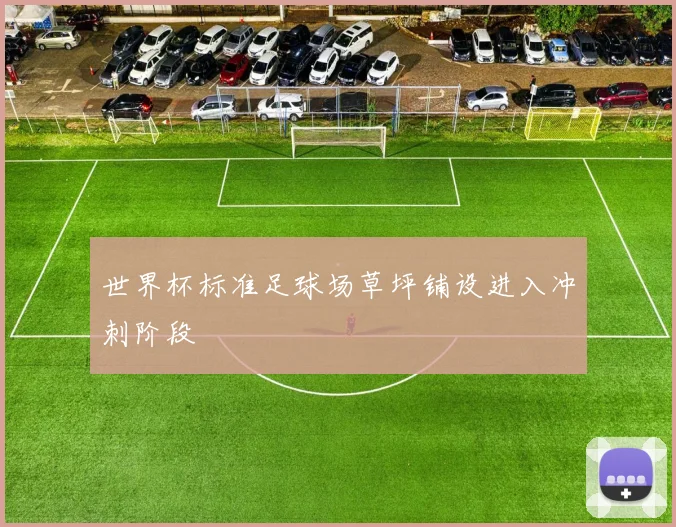 世界杯标准足球场草坪铺设进入冲刺阶段