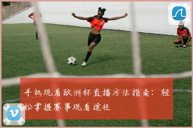 手机观看欧洲杯直播方法指南:轻松掌握赛事观看途径