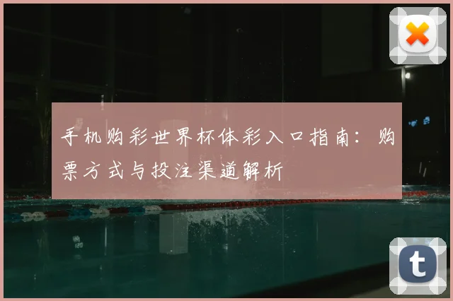 手机购彩世界杯体彩入口指南:购票方式与投注渠道解析