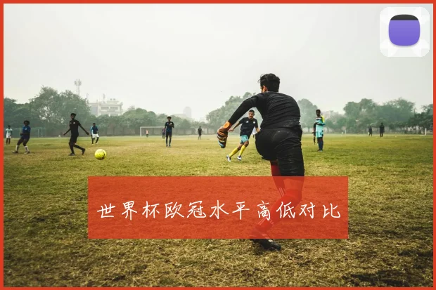 世界杯欧冠水平高低对比