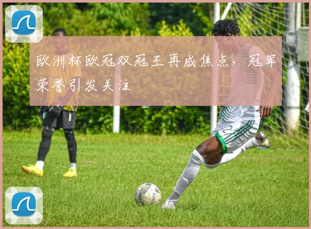 欧洲杯欧冠双冠王再成焦点,冠军荣誉引发关注