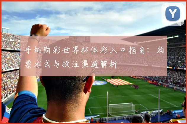 手机购彩世界杯体彩入口指南:购票方式与投注渠道解析